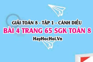 Giải bài 4 trang 65 Toán 8 Tập 1 SGK Cánh Diều